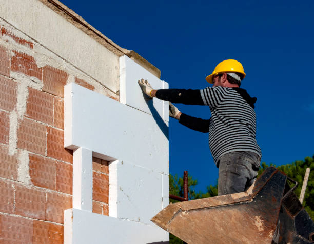 Best Spray Foam Insulation  in Ester, AK