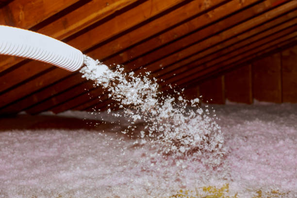 Best Local Insulation Services  in Ester, AK