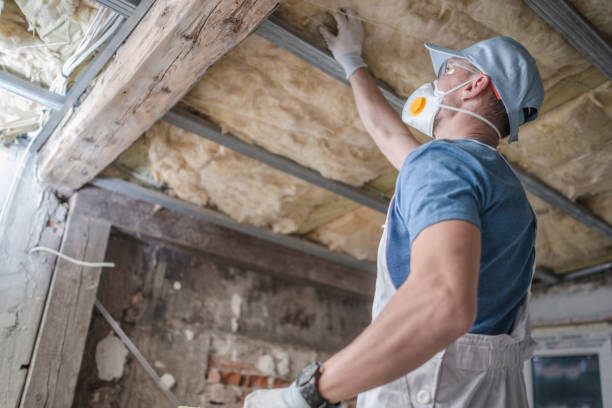 Insulation Replacement Services in Ester, AK