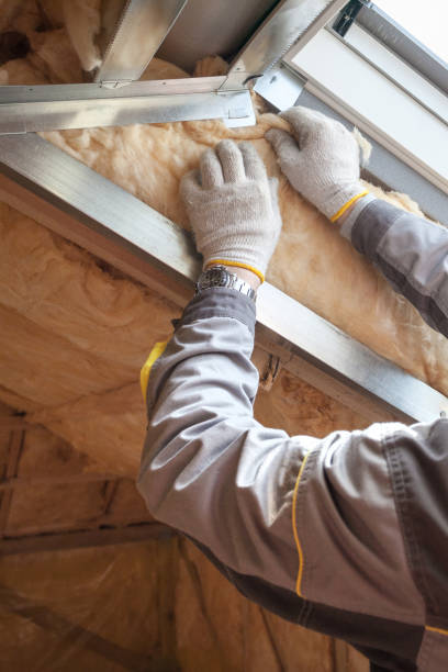 Best Spray Foam Insulation  in Ester, AK
