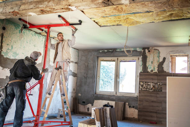 Best Wall Insulation Contractor  in Ester, AK