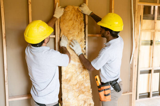 Best Insulation Removal  in Ester, AK