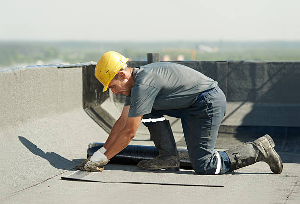 Best Cellulose Insulation  in Ester, AK