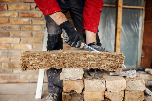 Best Insulation Repair Services  in Ester, AK