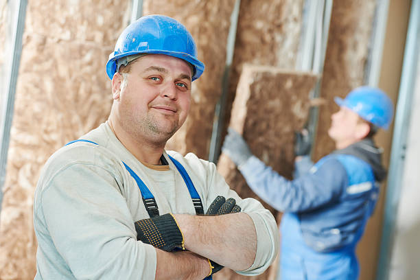 Best Home Insulation Services  in Ester, AK
