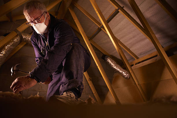Best Soundproof Insulation Installation  in Ester, AK